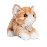 MiYoni Orange Tabby Cat