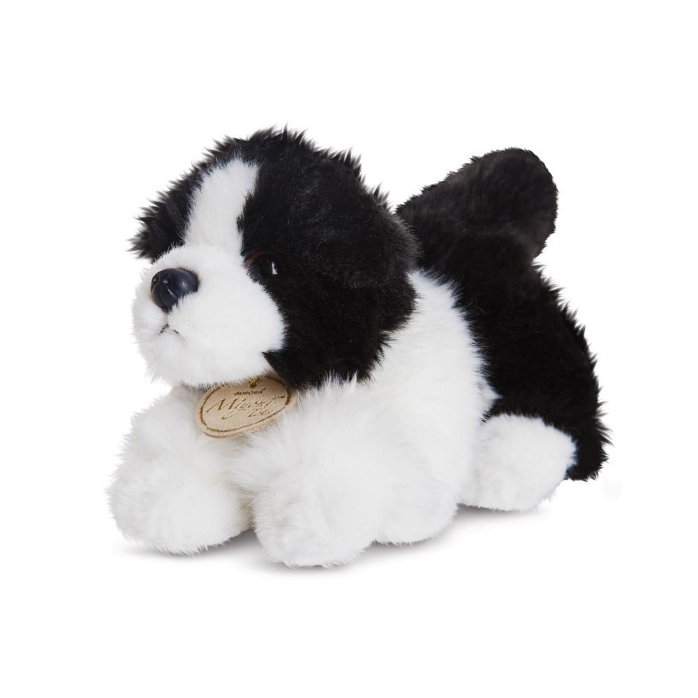 MiYoni Collie