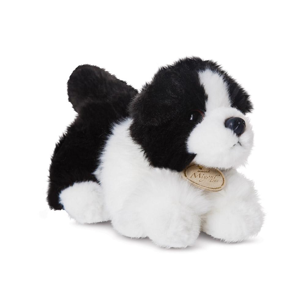 MiYoni Collie