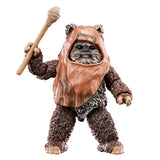 Star Wars The Black Series Wicket Action Figures