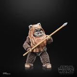 Star Wars The Black Series Wicket Action Figures