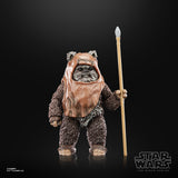 Star Wars The Black Series Wicket Action Figures