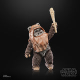 Star Wars The Black Series Wicket Action Figures