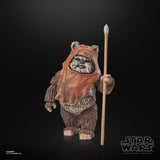 Star Wars The Black Series Wicket Action Figures