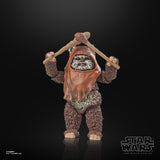 Star Wars The Black Series Wicket Action Figures