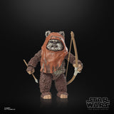 Star Wars The Black Series Wicket Action Figures