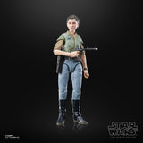 Star Wars The Black Series Princess Leia (Endor)