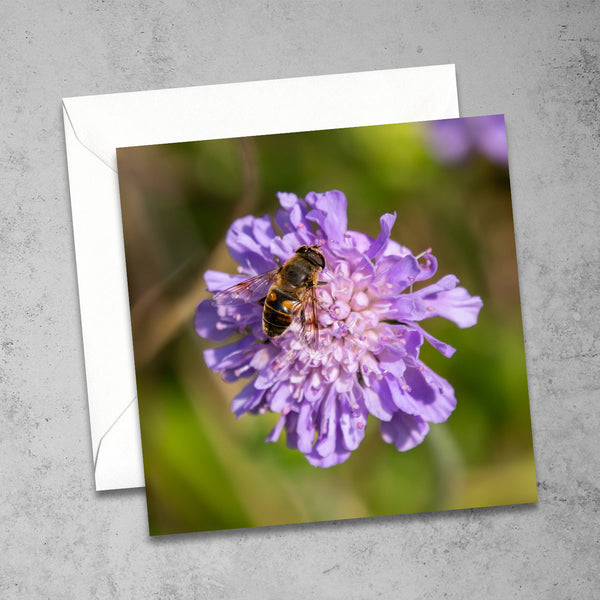 Honeybee Greetings Card