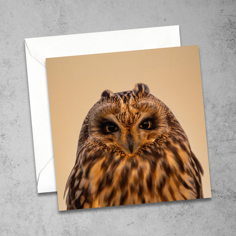 Short-Eared Owl Greetings Card