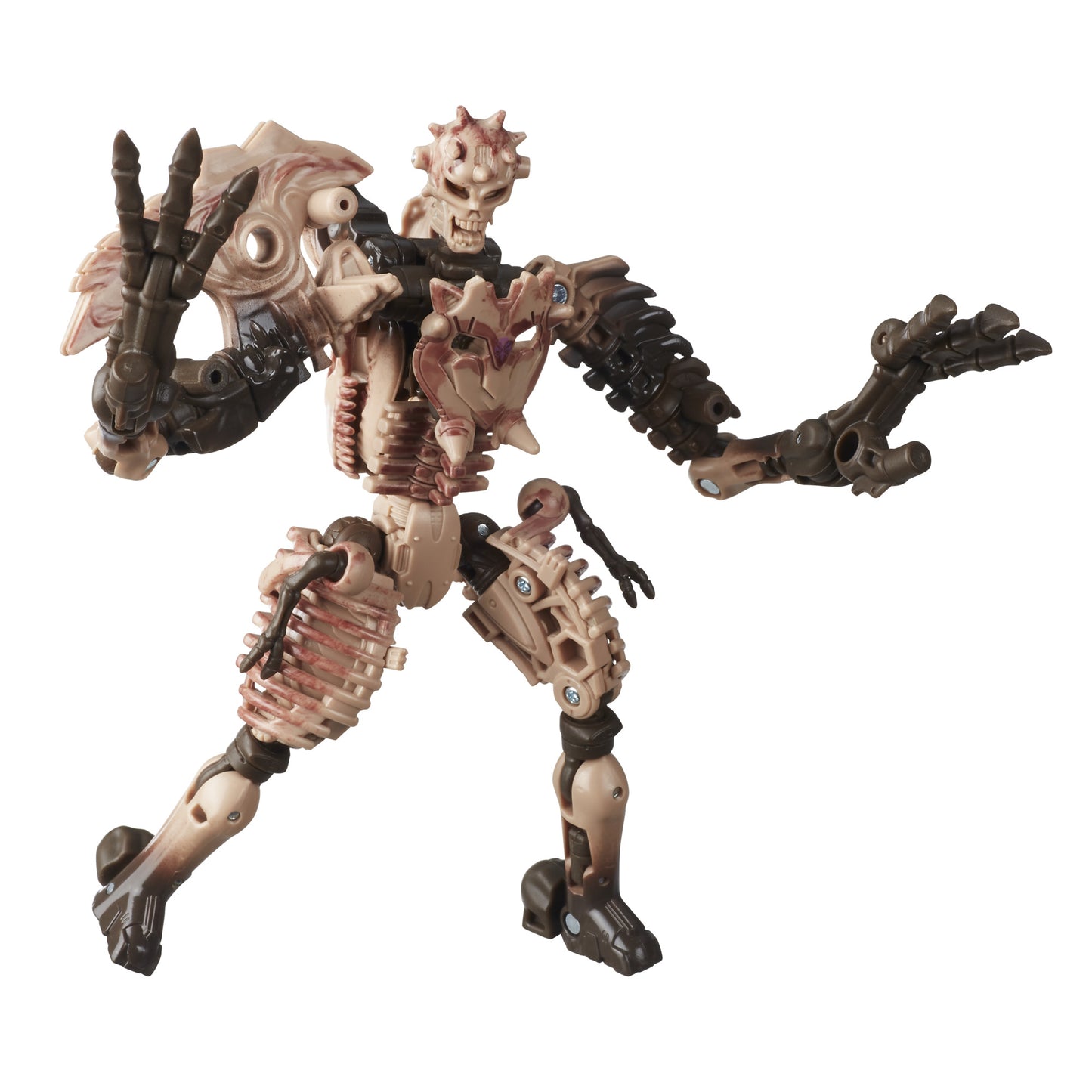 Transformers Kingdom Deluxe Paleotrex